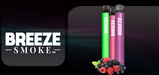 How To Maintain The Battery Health Of Your Breeze Plus?