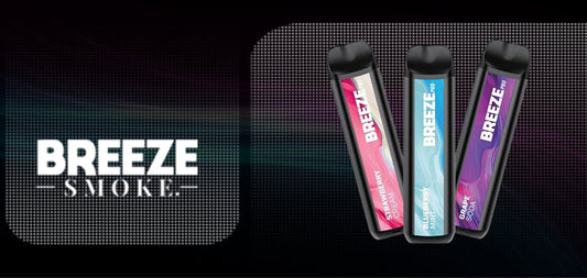 What Makes The Breeze Pro Vape So Special?