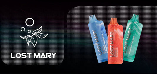 How To Identify If Your Lost Mary MO5000 Is Damaged From Overheating?